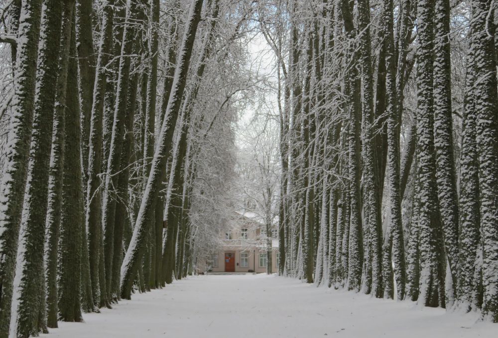 Photograph by Jyri Vissak