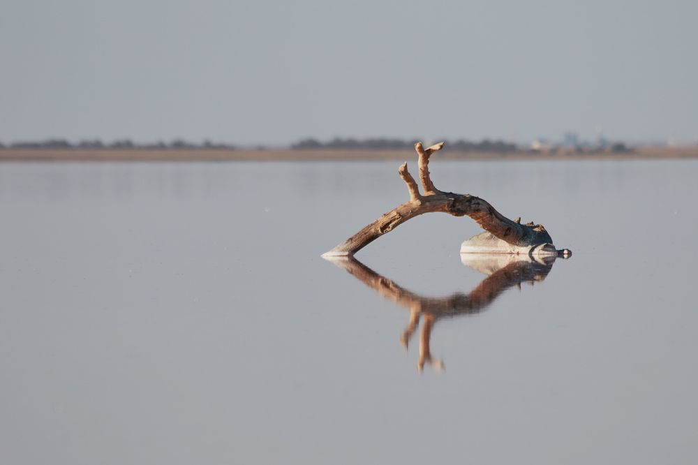 Photograph by Елена Загородская