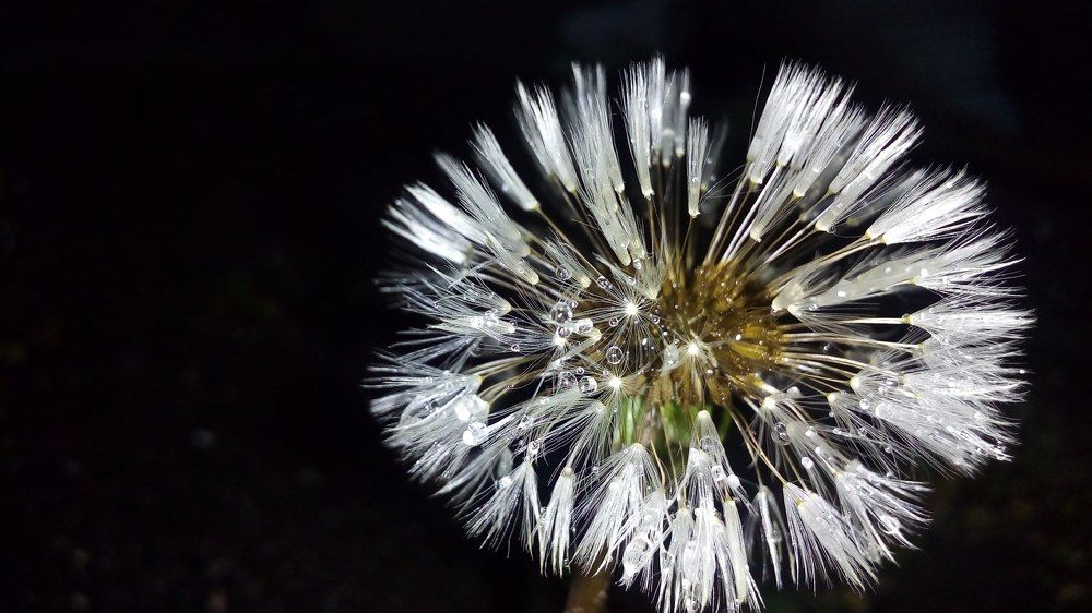 Photograph by Армине Унанян