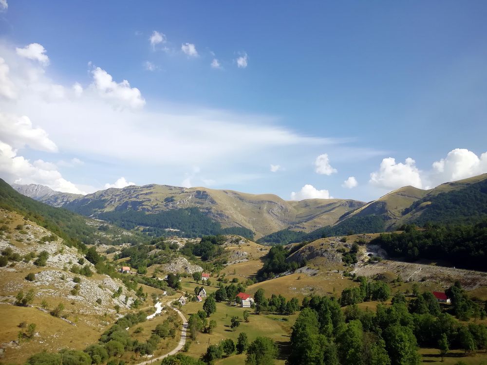 Photograph by Юлия Картушина