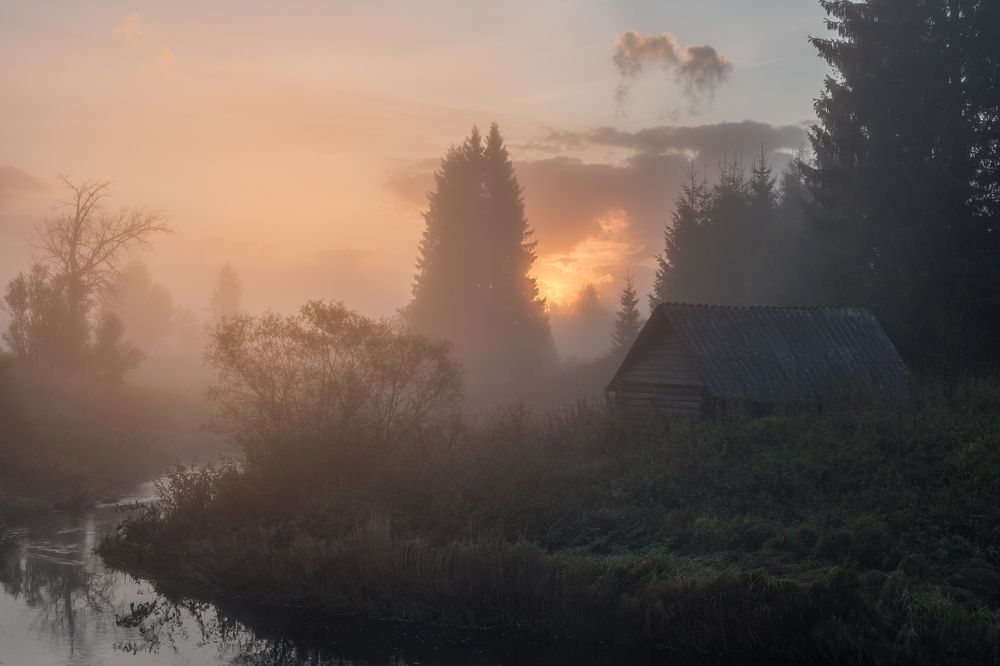 Photograph by Роман Фабричный