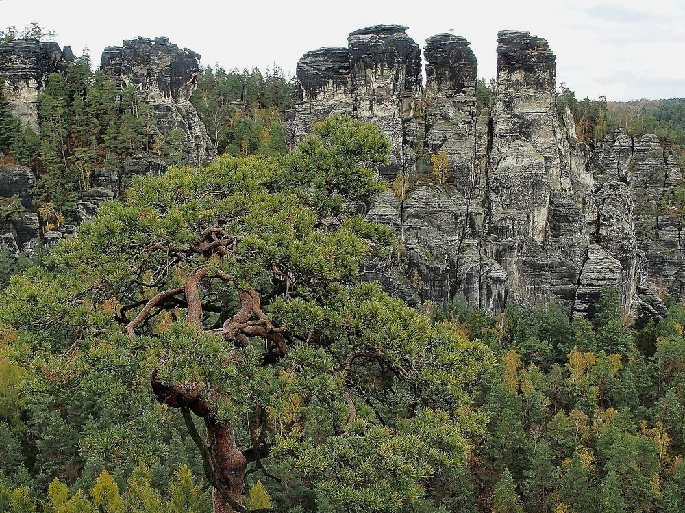 Саксонская Швейцария.