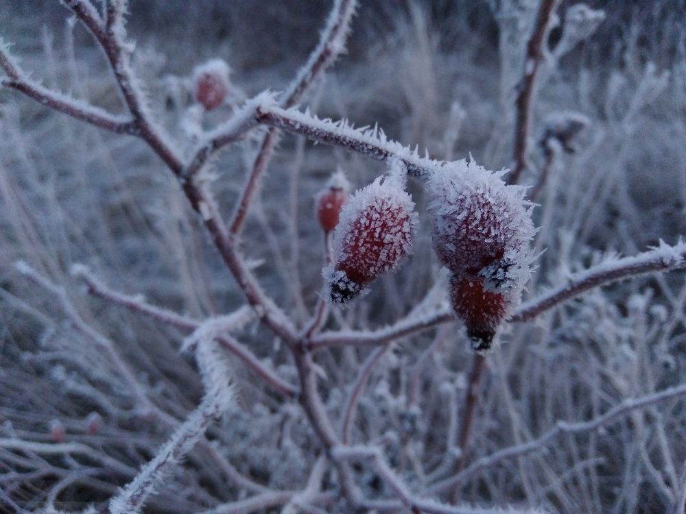 Photo #5713306