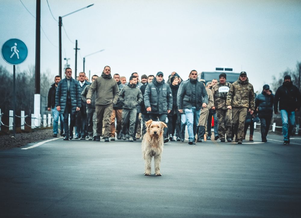 Photograph by Алексей Ковалёв