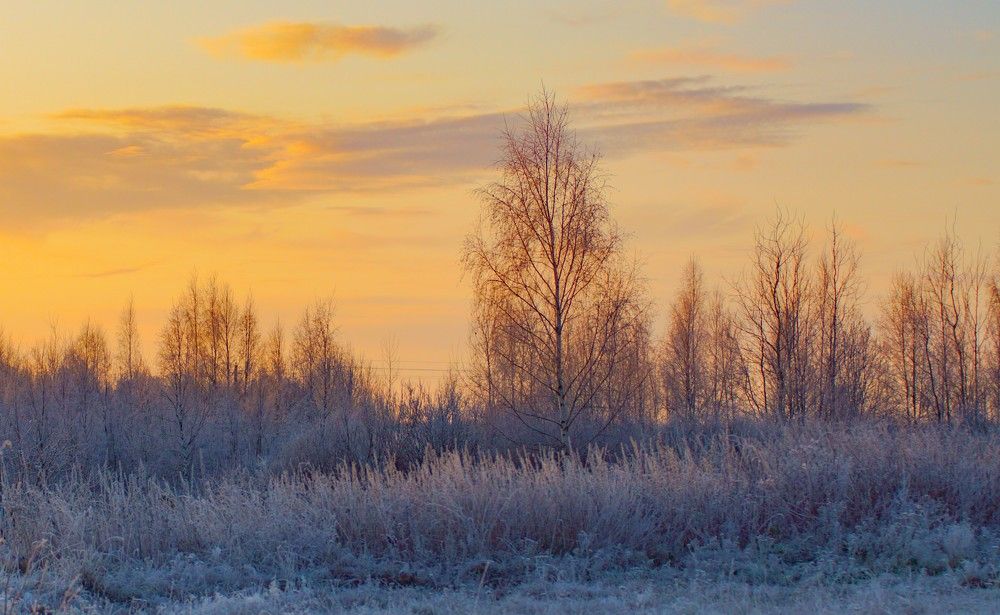 Photograph by Татьяна Шандромайло