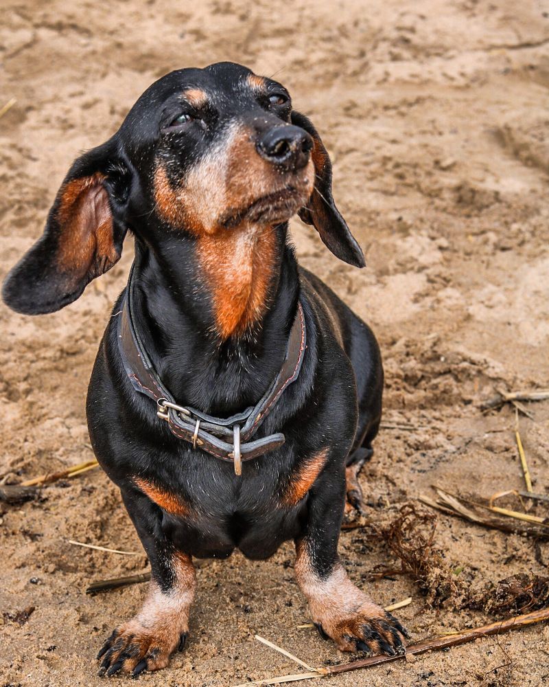 Photograph by Елена Ковалева