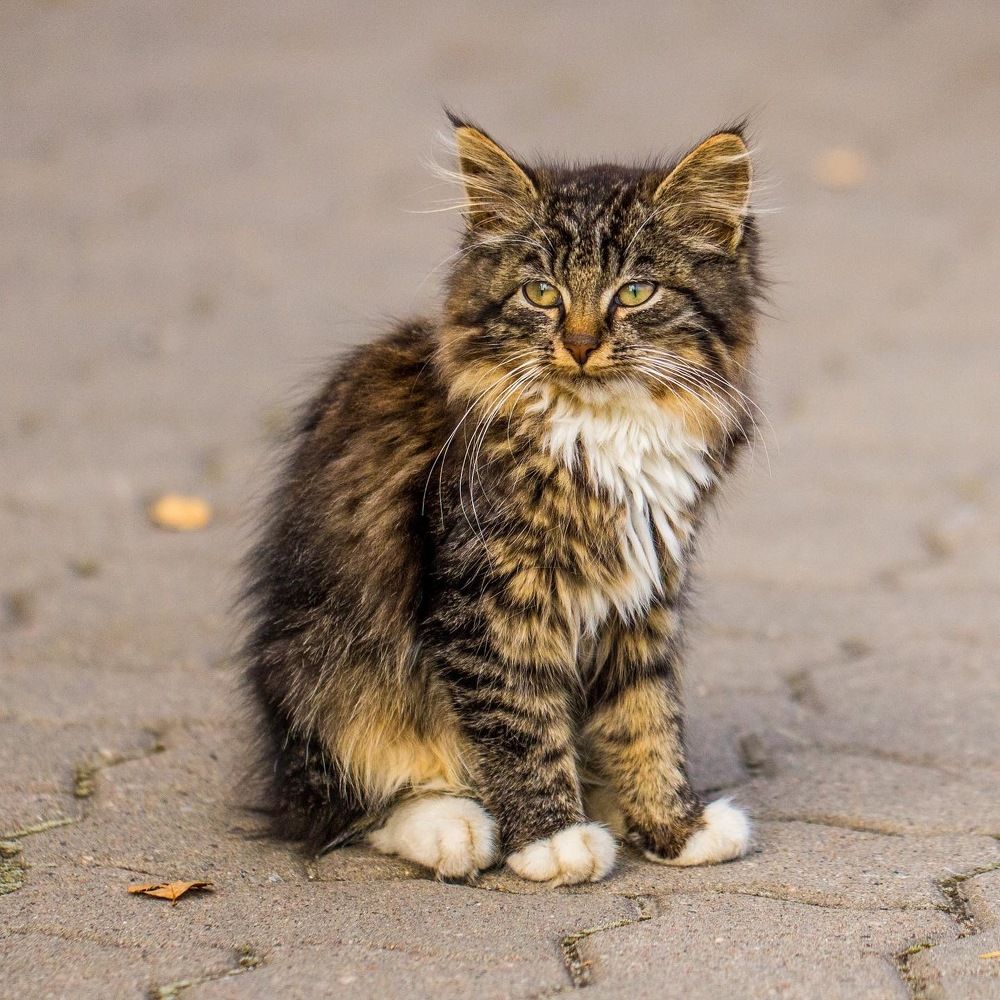 Photograph by Елена Ковалева