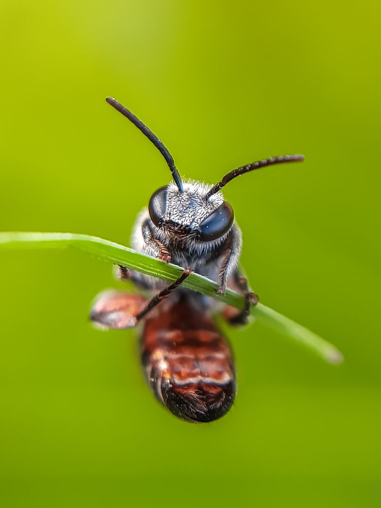 Photograph by Tikeswar Gahir