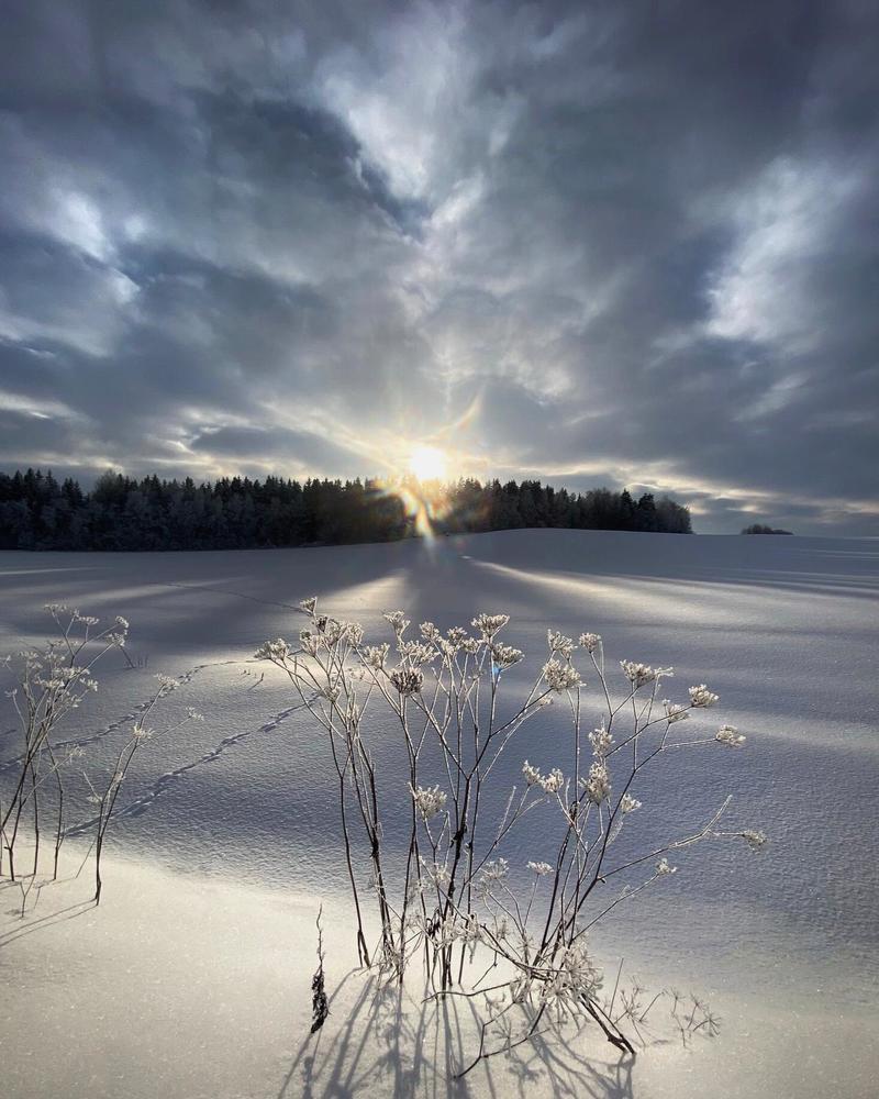 Photograph by Анатолий Андреев