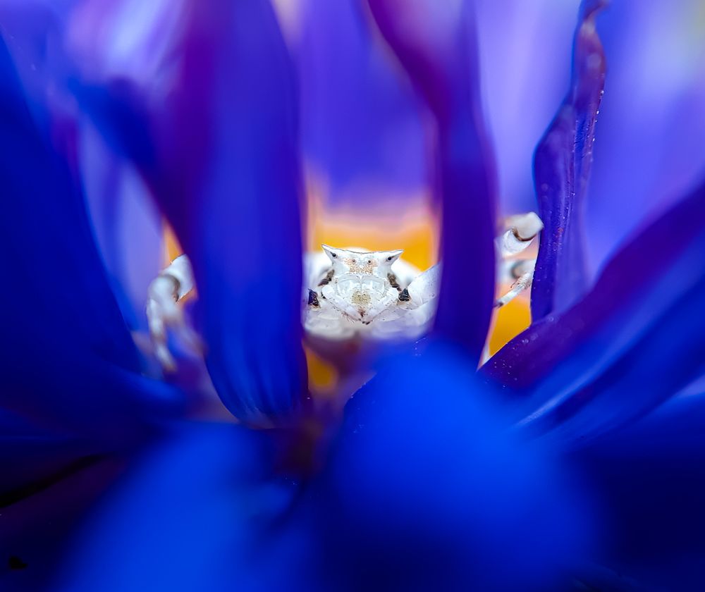 Photograph by Tikeswar Gahir