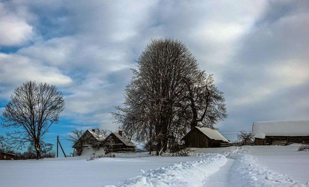 Photograph by Диана Бородзе