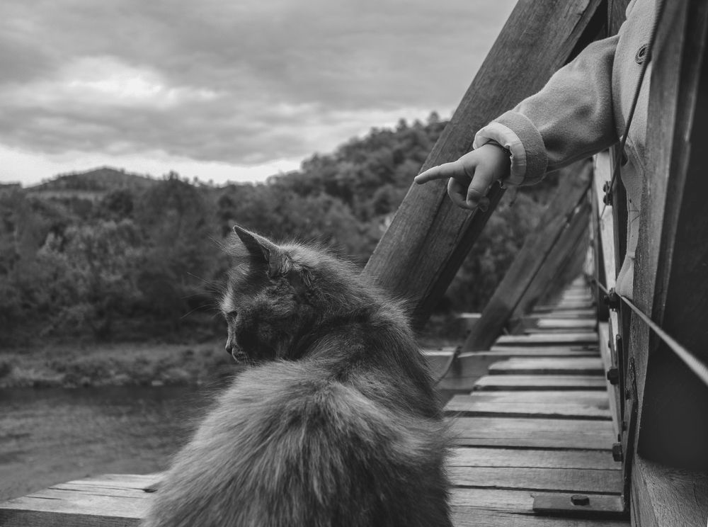 Photograph by Alexander Simeonov