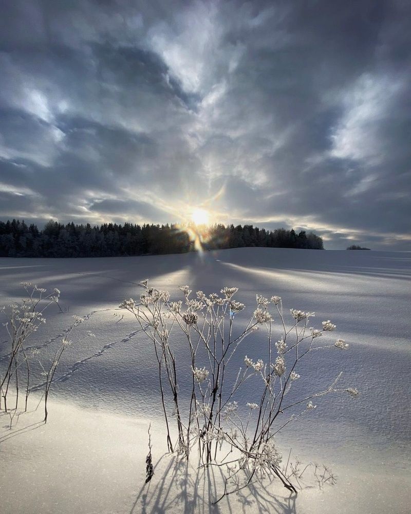 Photograph by Анатолий Андреев