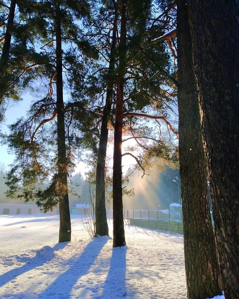 Скоро весна