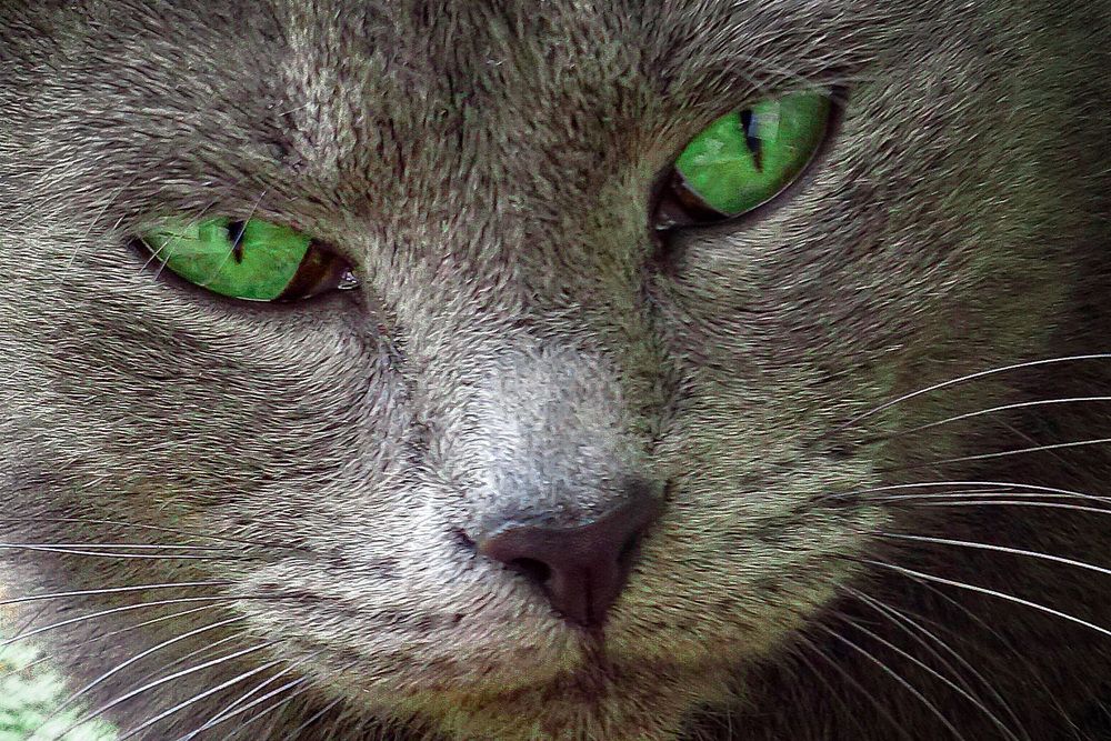 Фотография автора Віталій