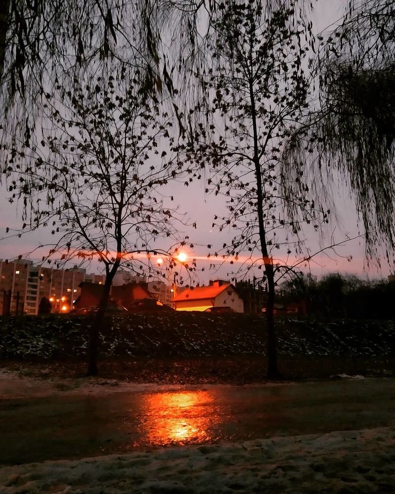 Свет далёкой звезды