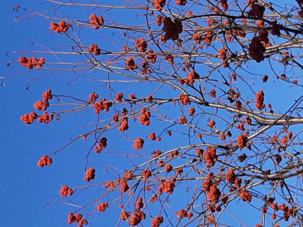 Photograph by Виктория Стецко