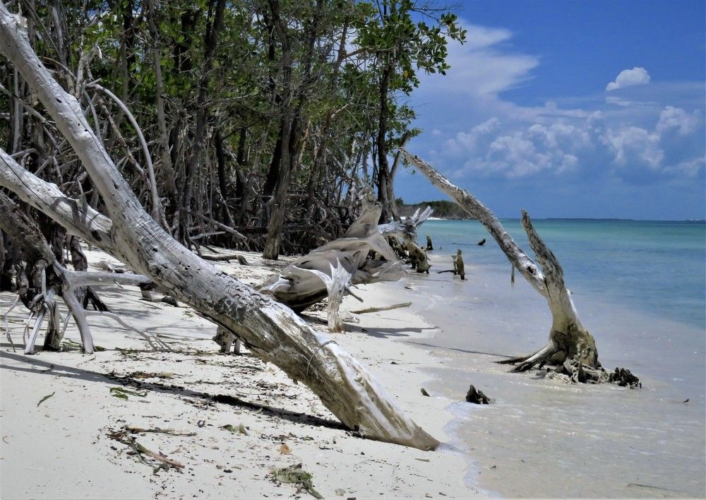 Photograph by Effie Zacharia