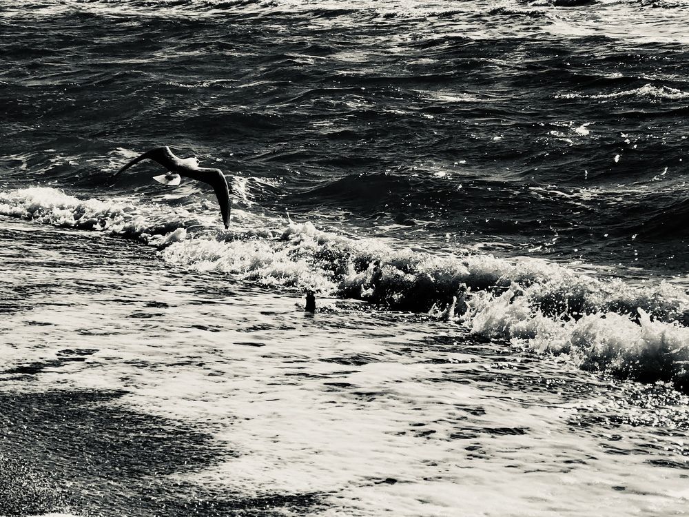 Photograph by Юлия Генова