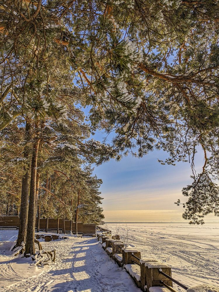 Photograph by Константин Леонюк