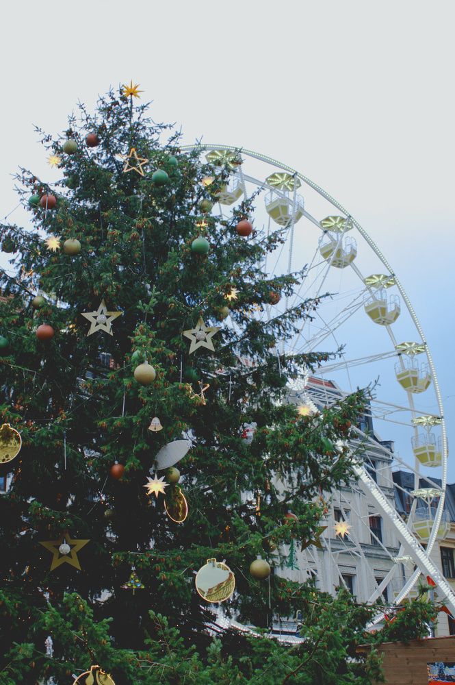 Photograph by Elizaveta Semenova