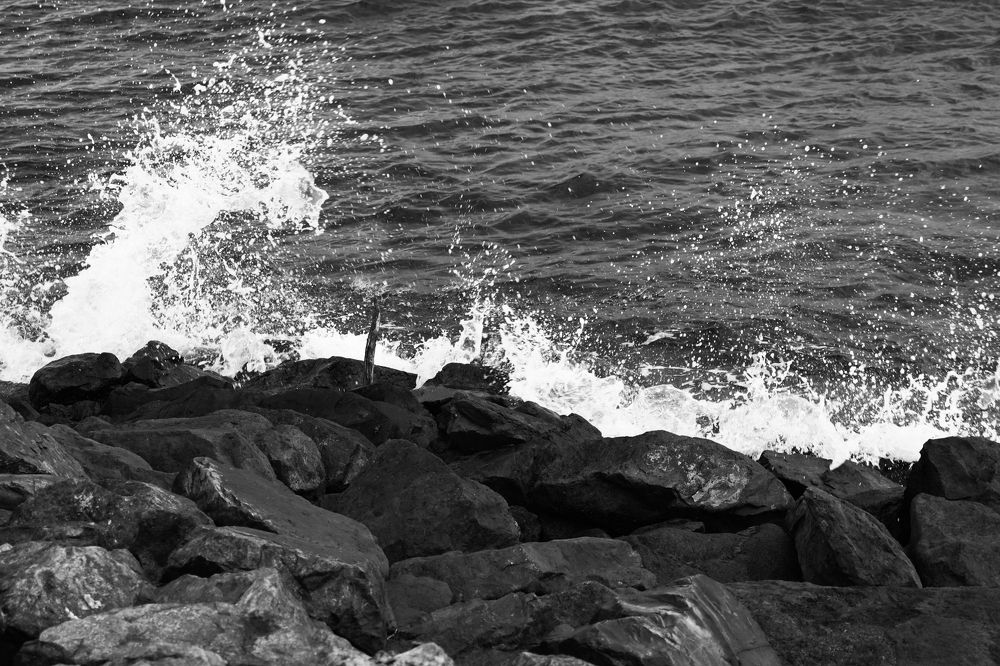 Photograph by Kristiyana Ignatova