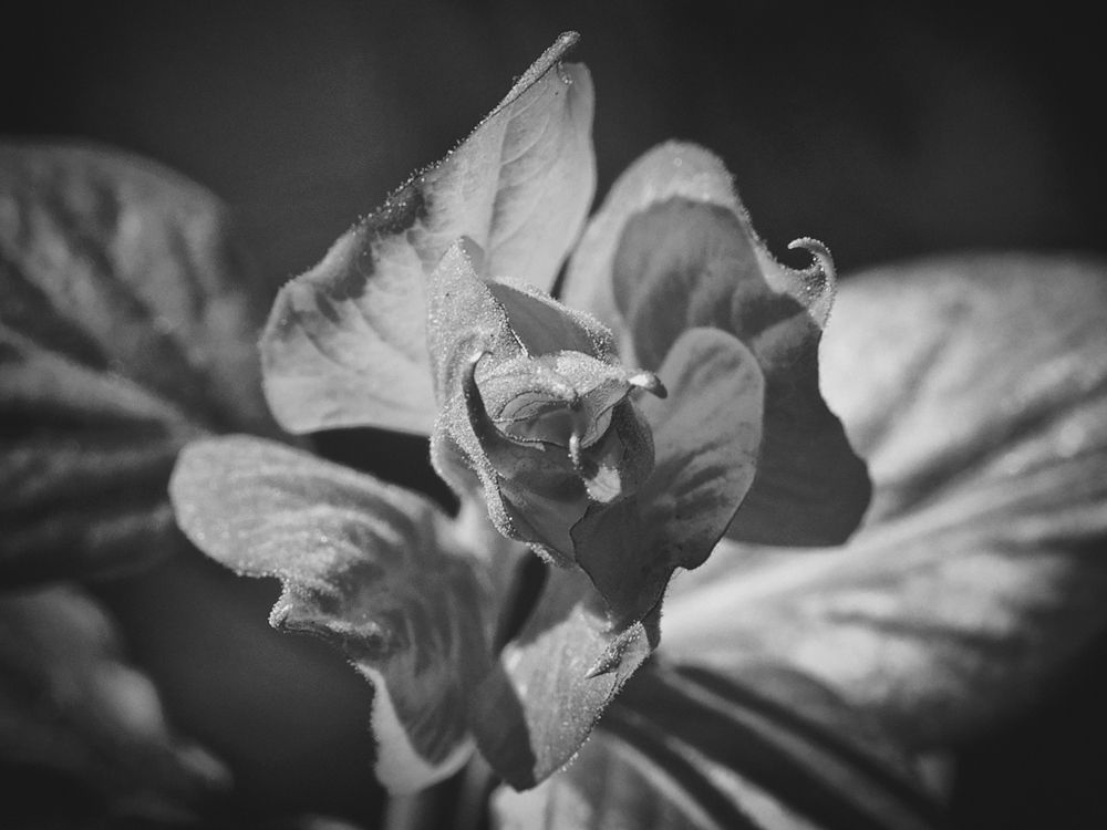 Photograph by Екатерина Рябинина