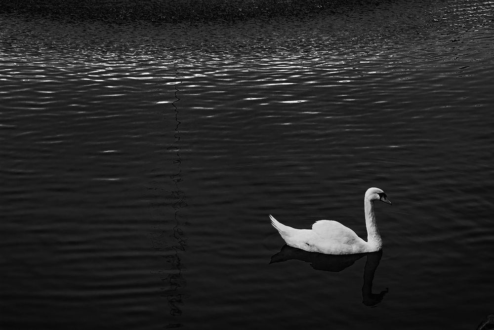 Photograph by Ангелина Mельникова