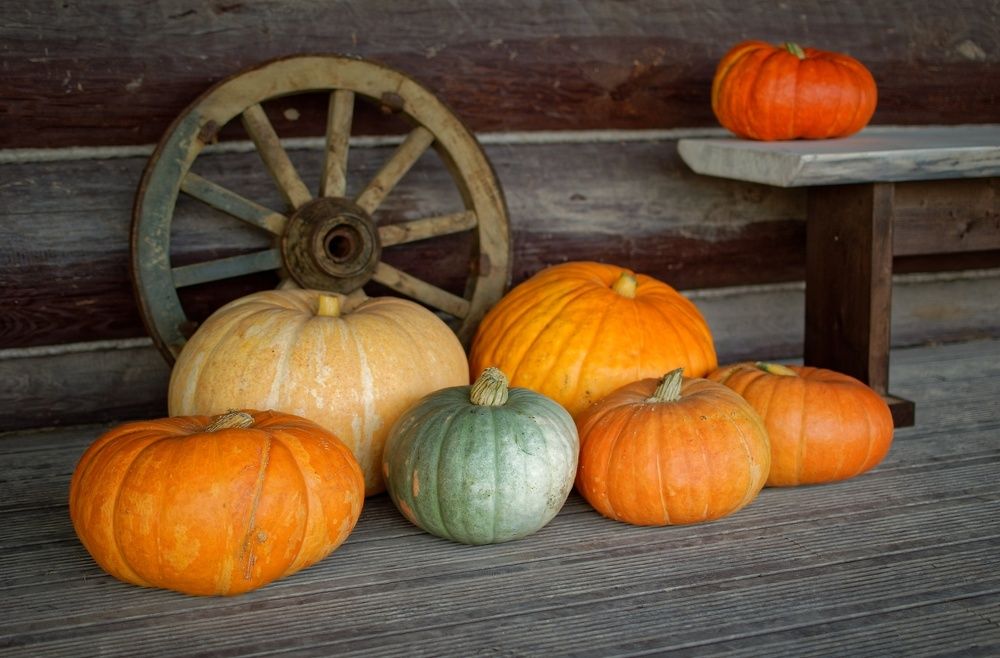 Photograph by Цветков Владимир