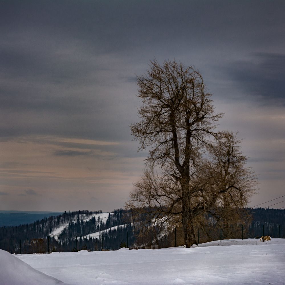 Photograph by Екатерина Устьянцева