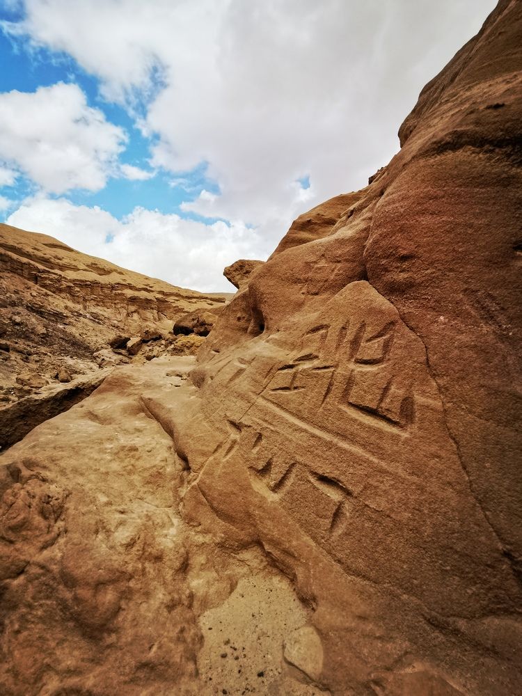 Photograph by Светлана Салмина