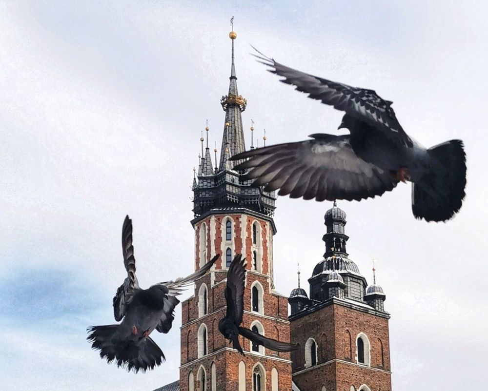 Photograph by Palina Mikhailouskaya