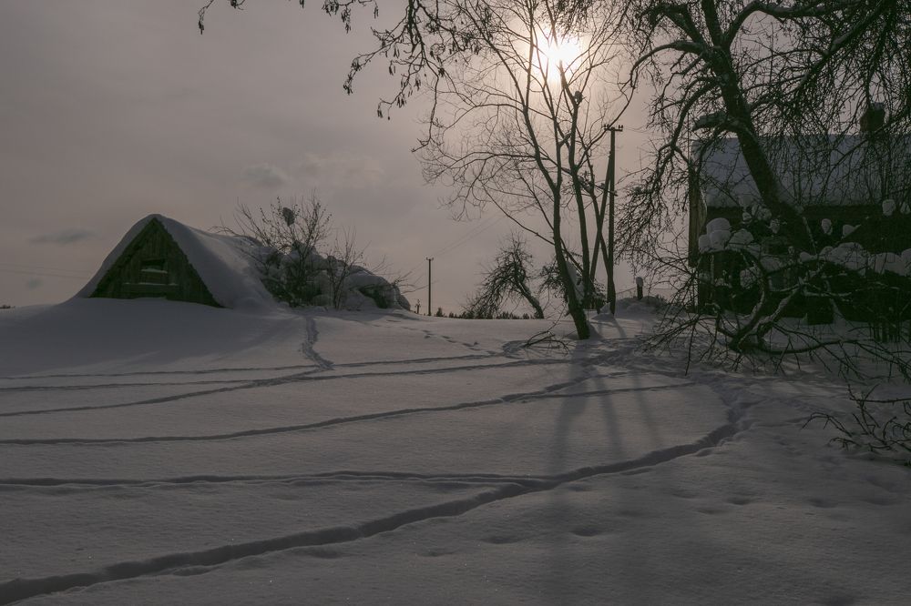 Photograph by Viktor Strigunov