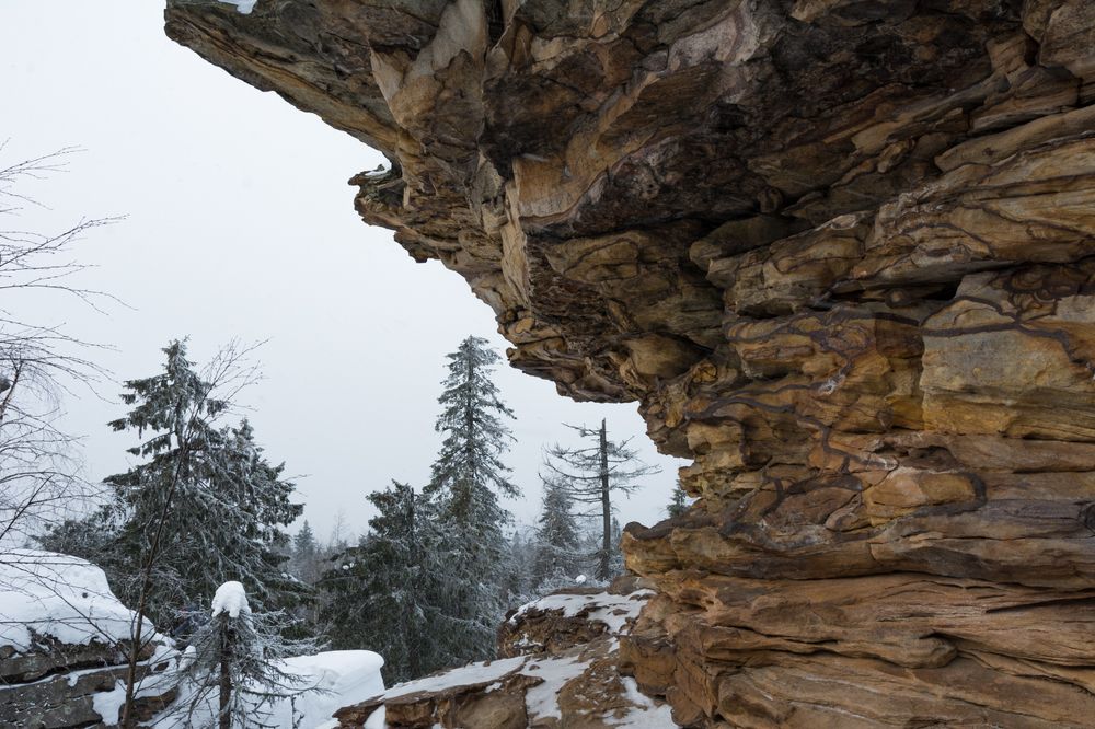 Photograph by Екатерина Устьянцева