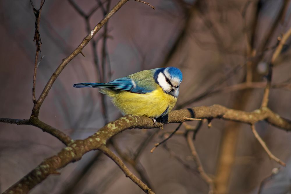 Photograph by Анатолий Калмыков