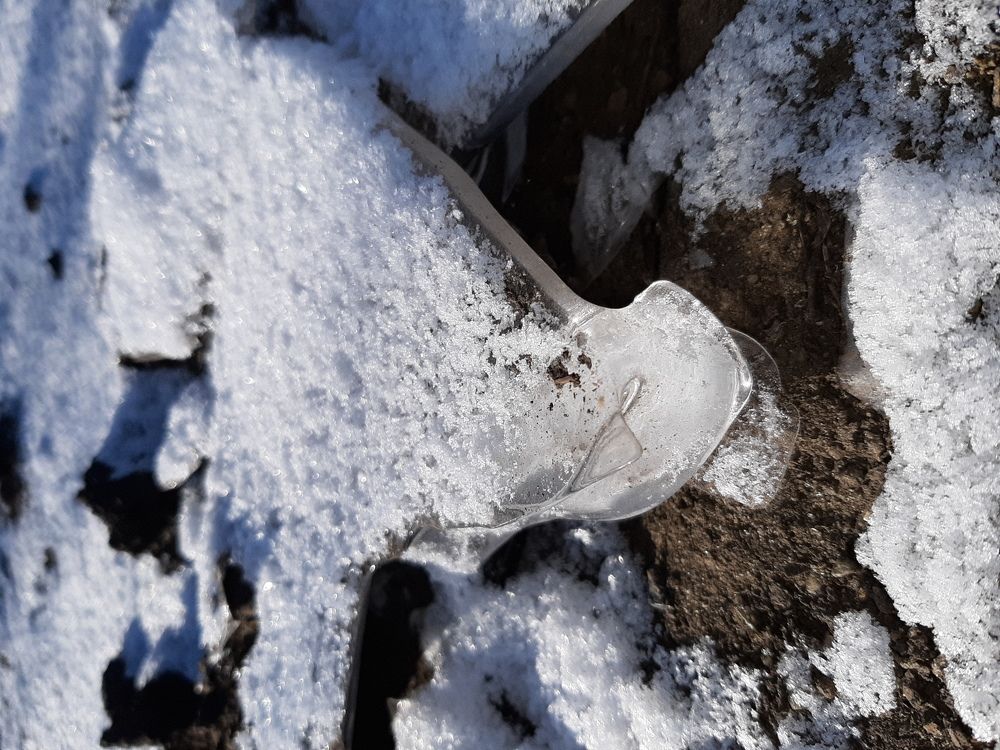 Photograph by Виктория Стецко