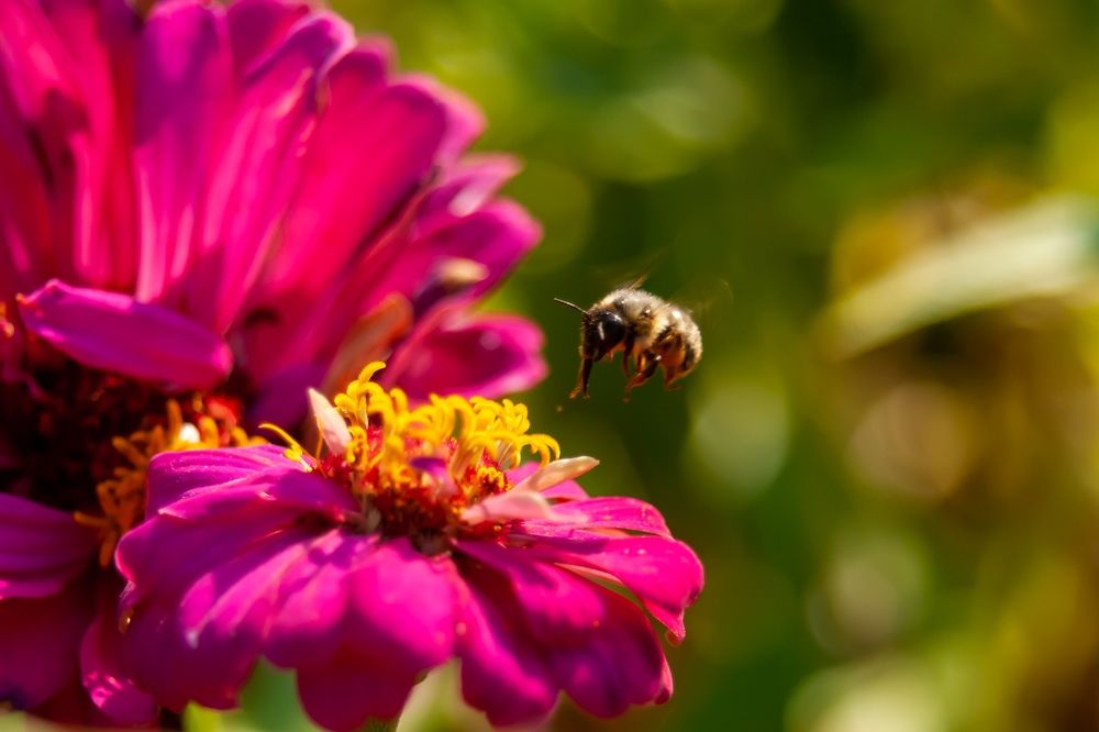 Photograph by Андрей