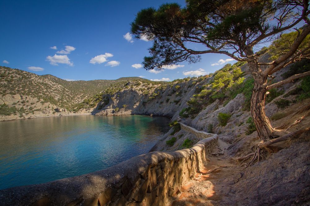 Photograph by Екатерина Чичкова