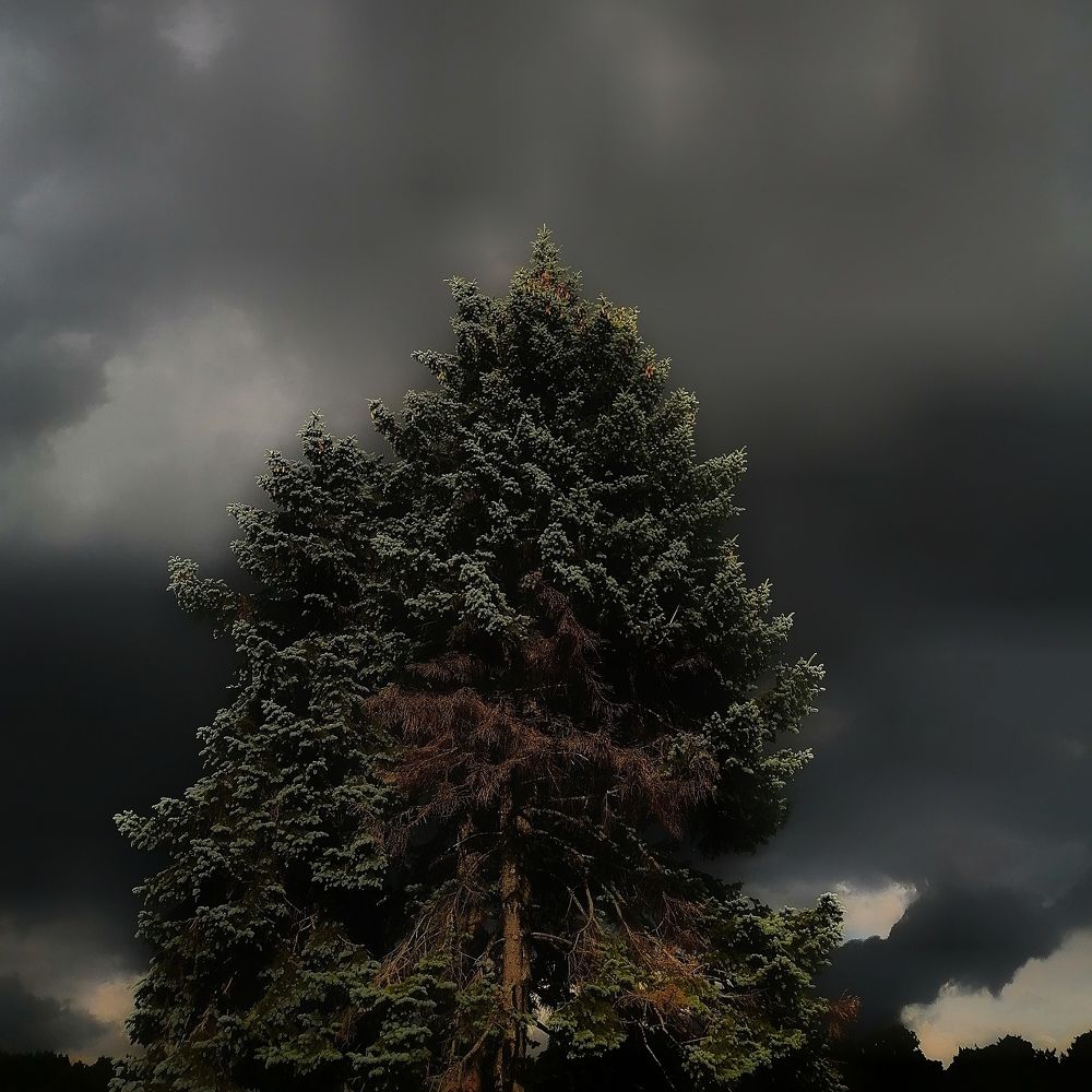 Photograph by Артём Паршиков