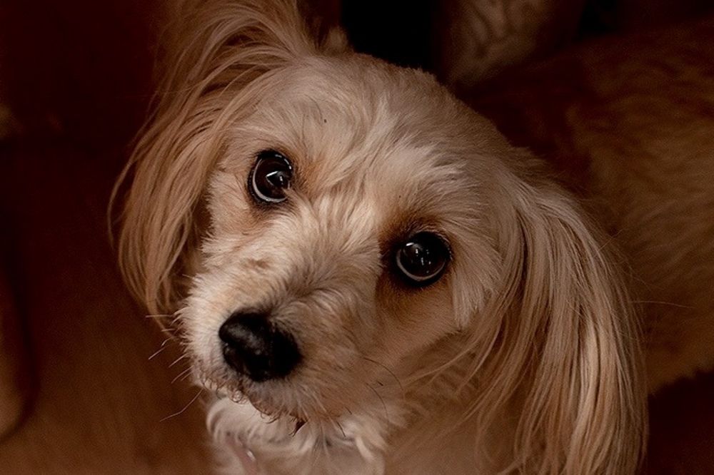 Photograph by Натали Раш