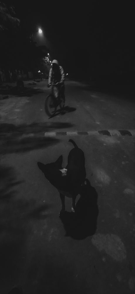 Photograph by Dipayan Singha