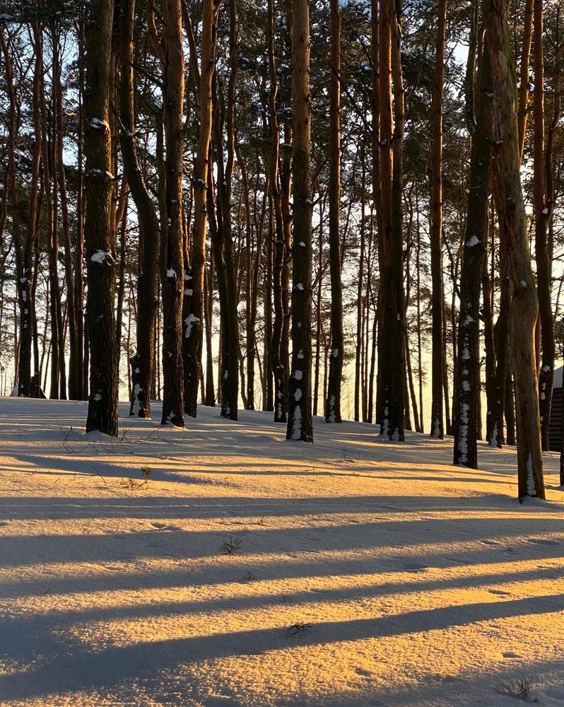 Photograph by Анатолий Андреев