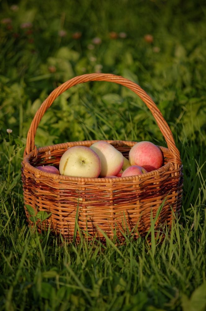 Photograph by Цветков Владимир