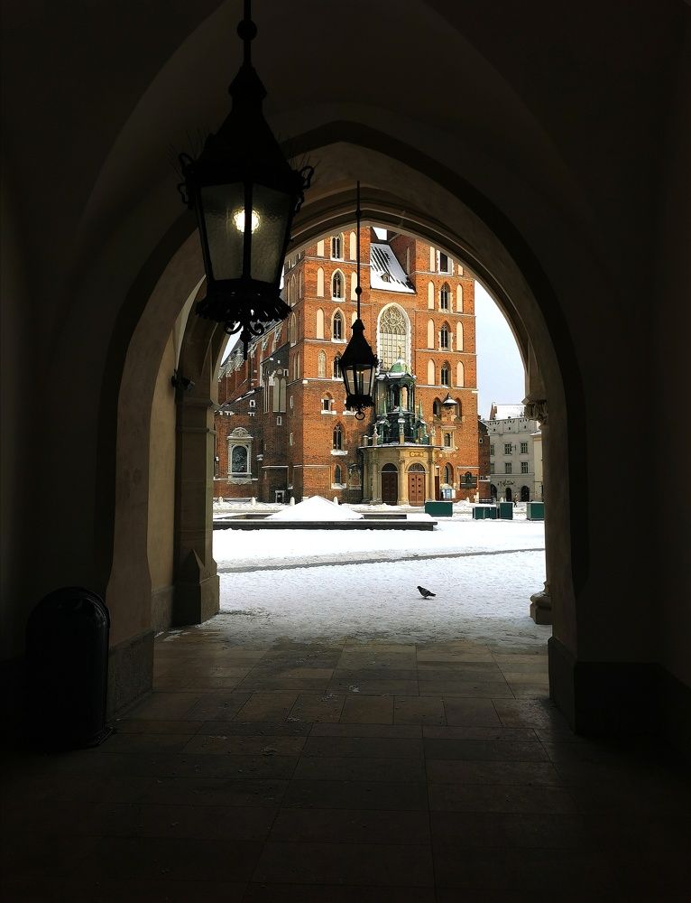 Photograph by Palina Mikhailouskaya