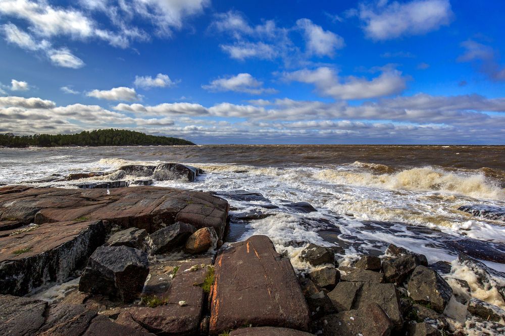 Ветер с севера.