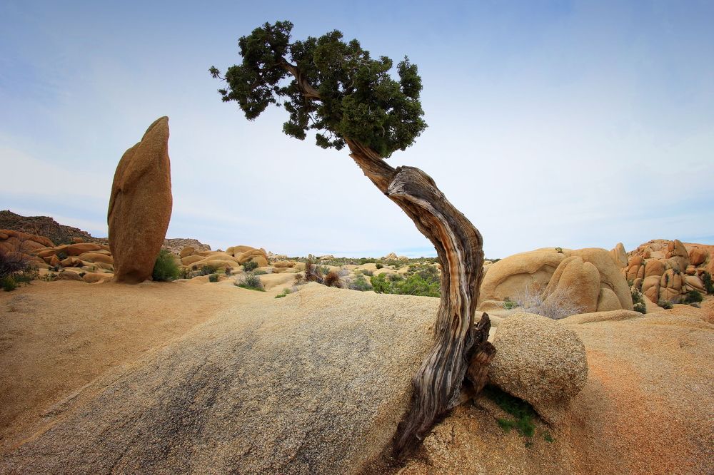 Photograph by Marcin Janocha