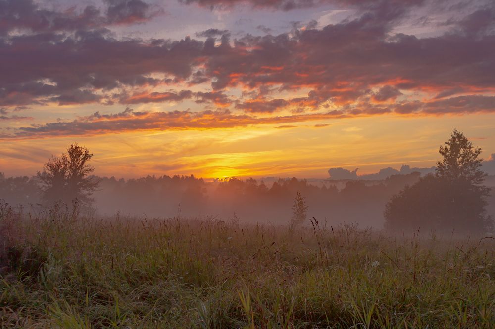 Photograph by Дмитрий Котов