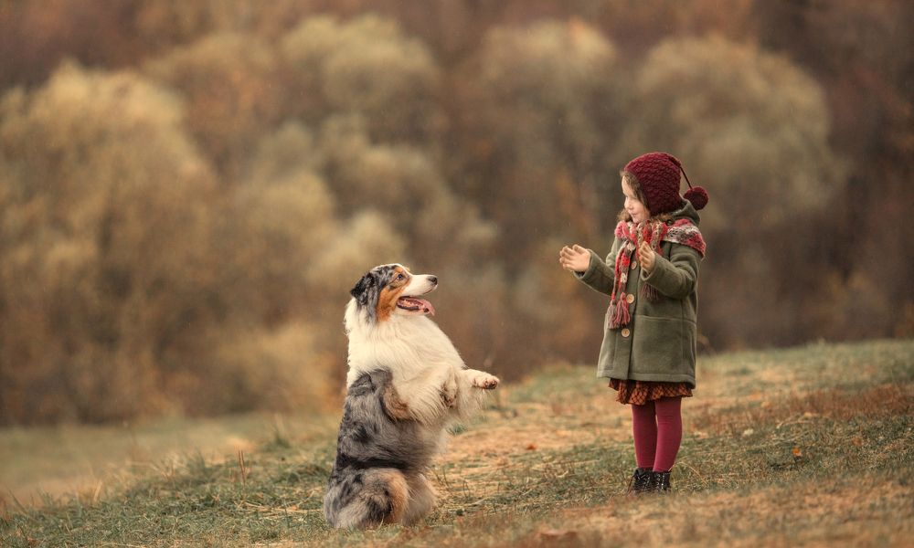 Photograph by Алёна Кожедуб