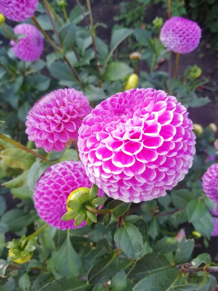 Photograph by Столярова Ольга