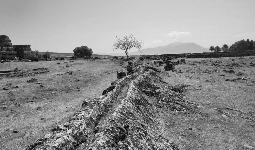 Photograph by Anna Pavlova